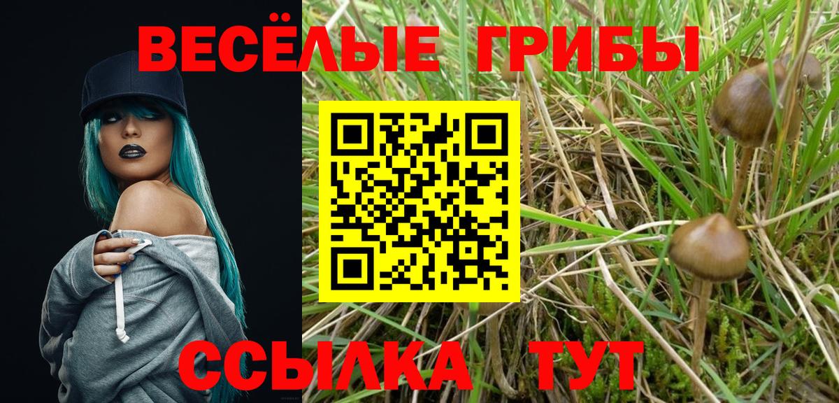 Галлюциногенные грибы MAGIC MUSHROOMS Ставрополь