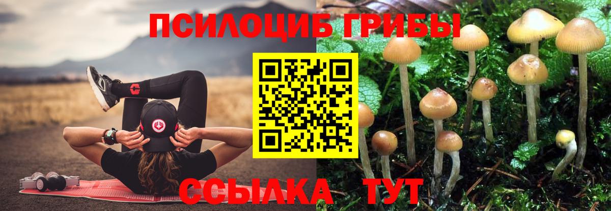 Псилоцибиновые грибы Magic Shrooms  Вход с VPN  Ставрополь 